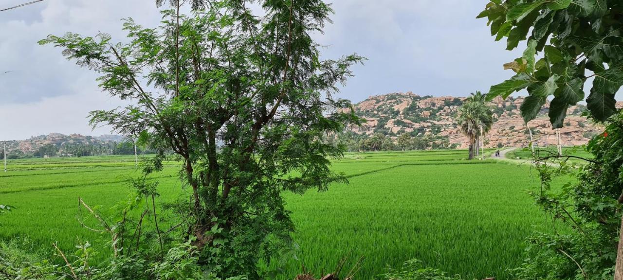 Hotel Jungle Tree Hampi Exteriér fotografie